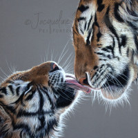 Artwork of a portrait of tiger and cub