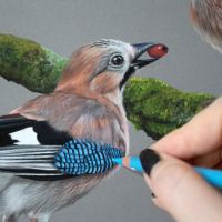 Artwork of a bird
