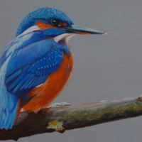 Painting of a kingfisher
