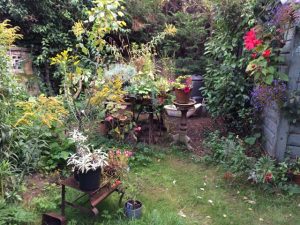 Image one: The end of my garden