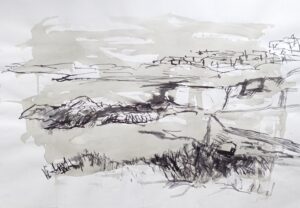 'Sea and Land', Lesley Williams