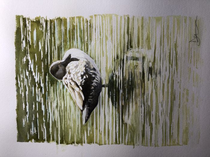 Artwork