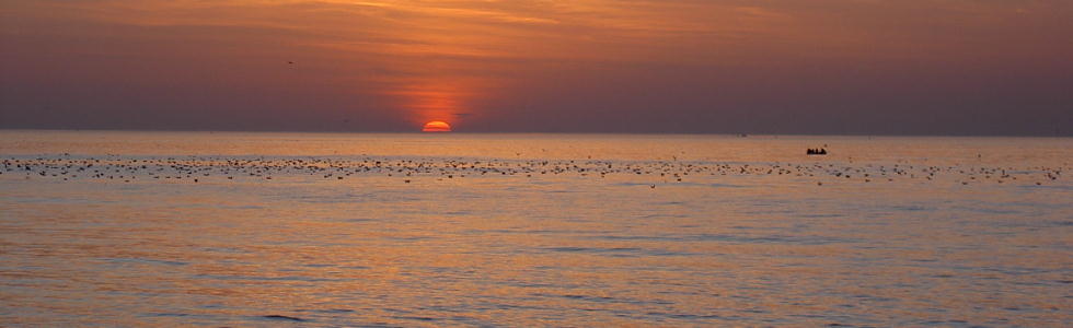 Header photo of West Norfolk sunset